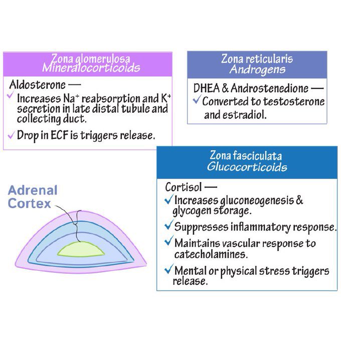 Medical_MD1 tweet picture