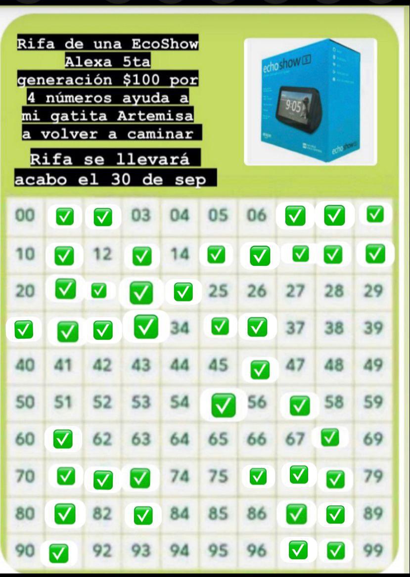 LaMilland's tweet photo. tengo 17 gatitos rescatados artrmisa tiene artritis y su tratamiento es algo costoso  para recaudar el
$ rifamos una Alexa y hacer que vuelva a caminar  si quieres y puedes ayudarla te lo agradecemos mucho !!! 4 números por $100 cta 5204167106417496 bnx carolina Montejo https://t.co/U2wqJ1ocVW