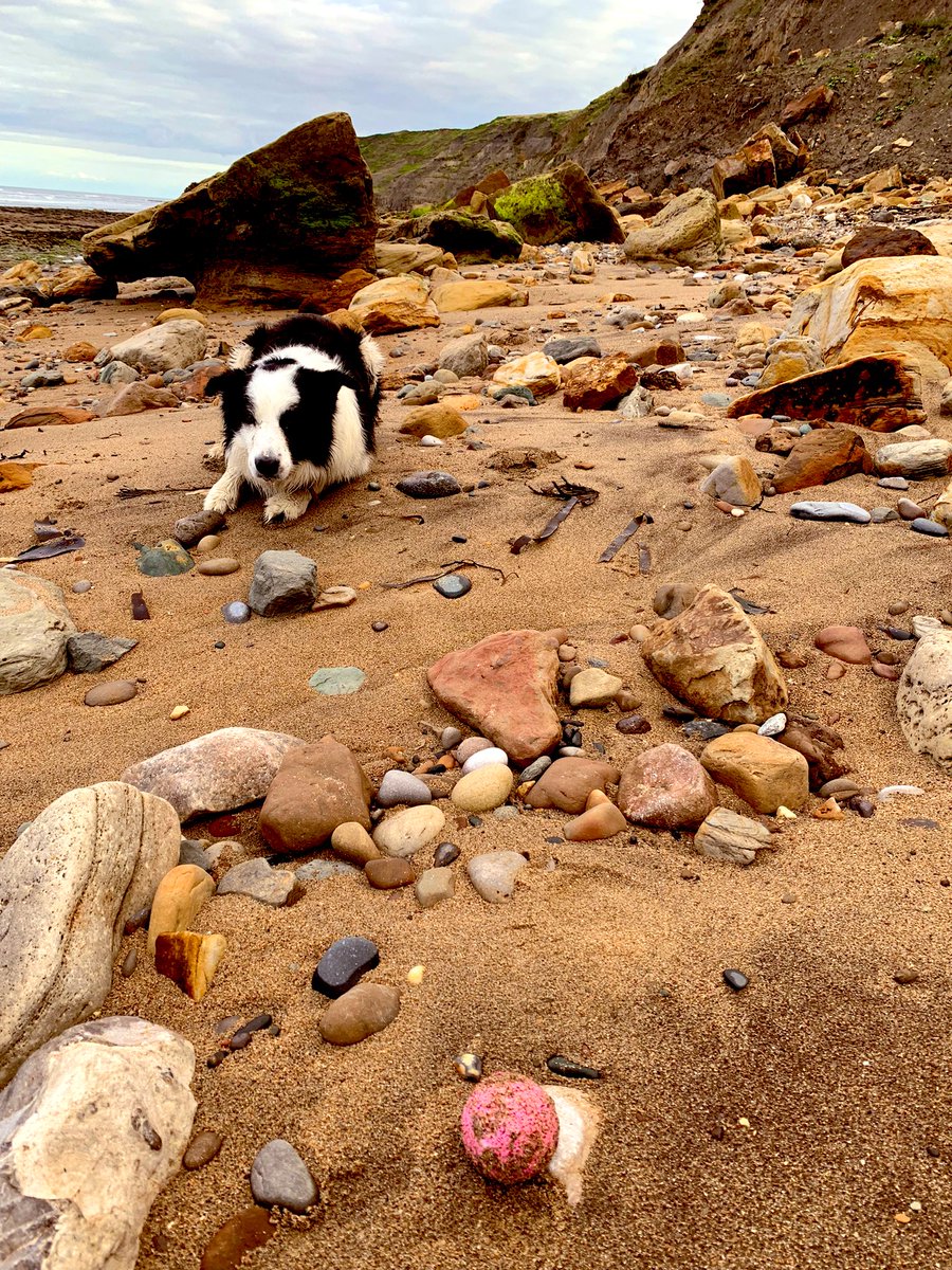 We got lost today! Dad said he fort we was on Mars 🟠