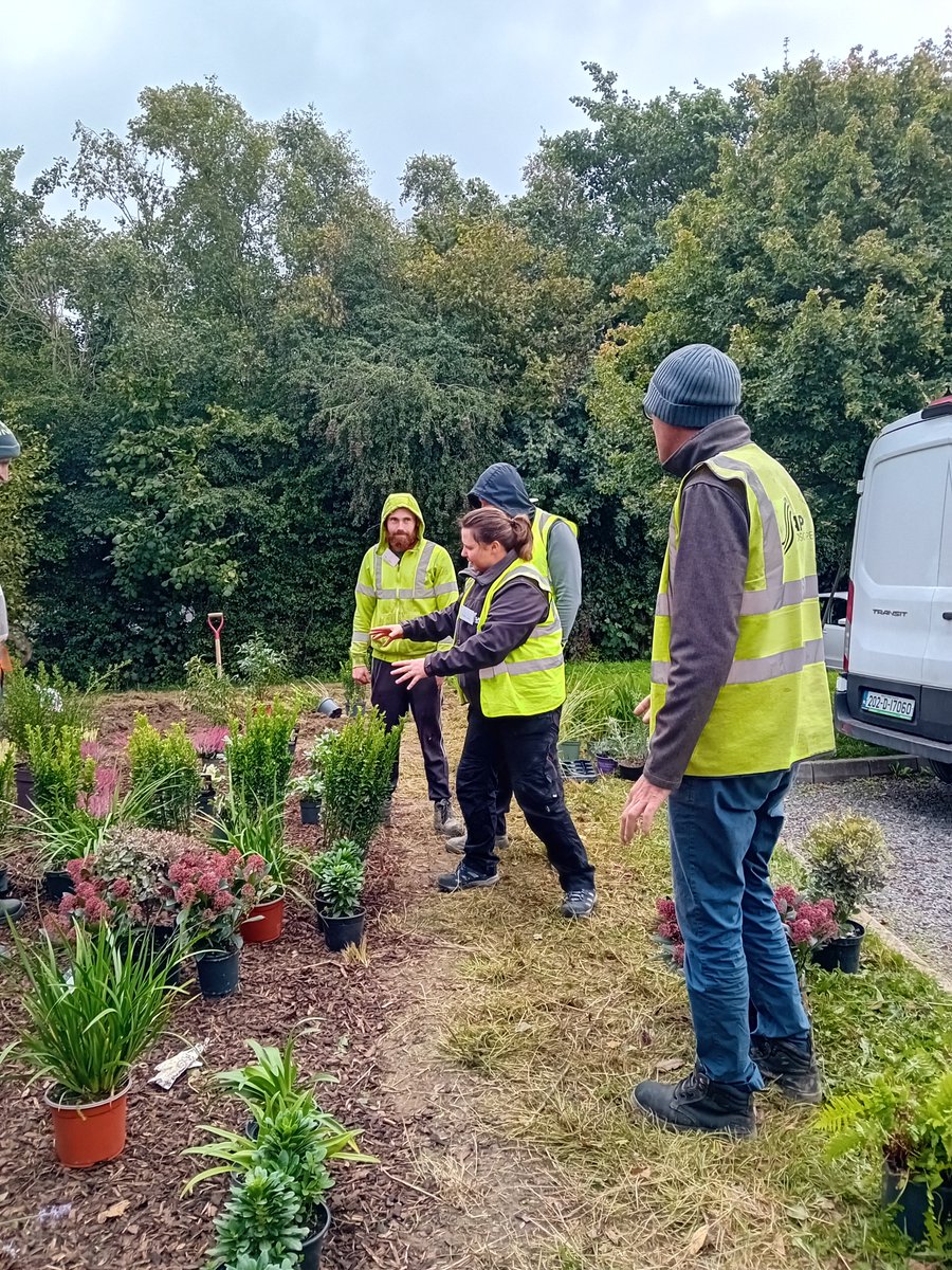SAP_Landscapes's tweet photo. At SAP Landscapes we make sure we offer both our clients, and ourselves, the best opportunities. On Friday, 80+ landscaping crew, took time out of their busy schedules to keep themselves nurtured with knowledge and best practice.
#saplandscapes #growth #topemployees #teamwork https://t.co/oCb06MdiST