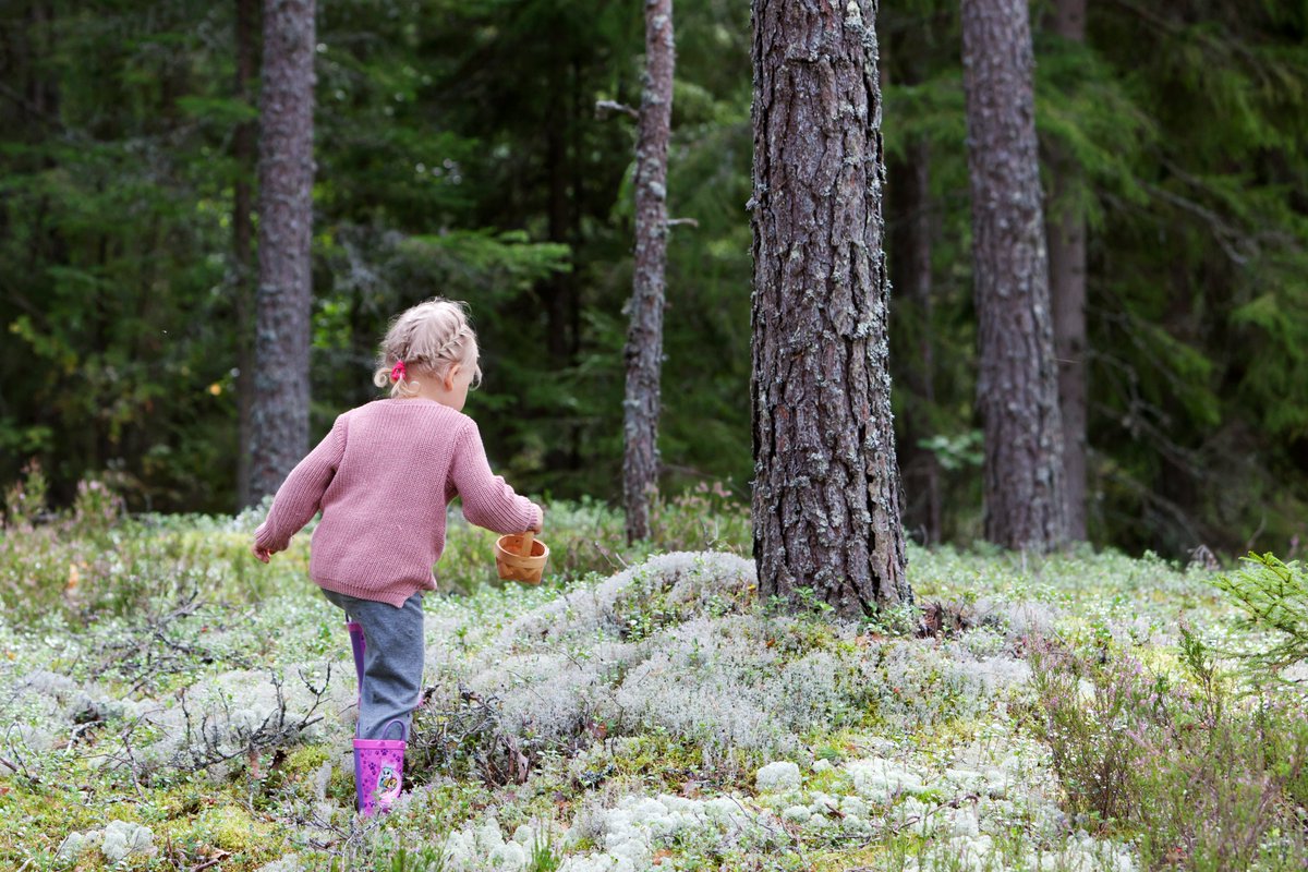 25.9. vietetään kestävän kehityksen 8. vuosipäivää. Gasgrid tukee #KestäväKehitys'tä #hiilineutraali'a energia- ja raaka-ainejärjestelmää kehittämällä ja sen #vastuullisuusohjelma on kytketty kestävän kehityksen toimenpideohjelmaan. gasgrid.fi/vastuullisuus-…