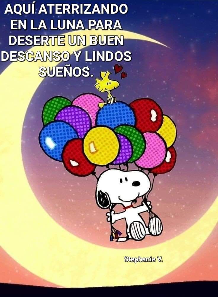 Luz_MedinaB's tweet photo. https://t.co/8h9zrwF0cb