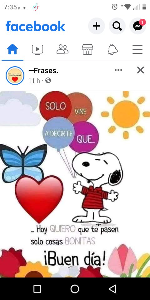 Juana Guzmán (@juana_guzman_r) on Twitter photo 