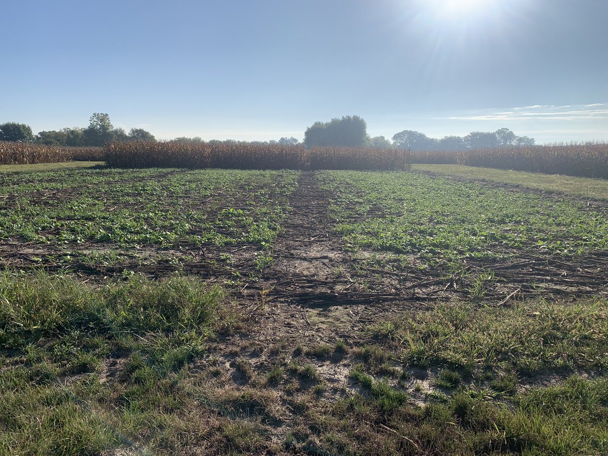 Cody Evans tweet media