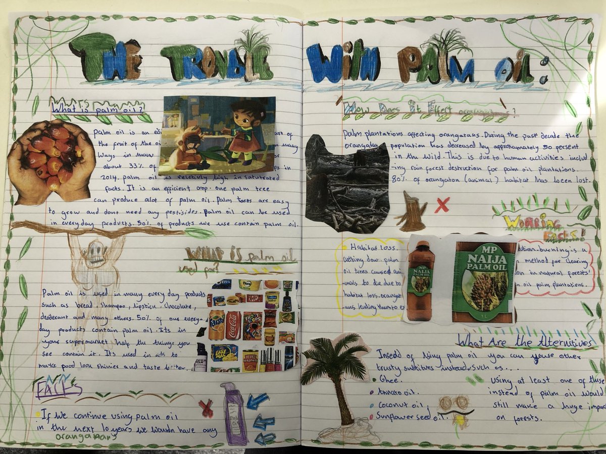How AMAZING is this piece of work informing us about the consequences of palm oil! 🦧
So informative and so incredibly well
presented. 
#smithdowngeog 
#smithdownwriters