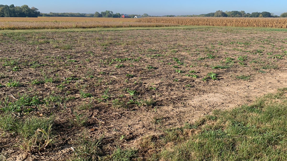 Cody Evans tweet media