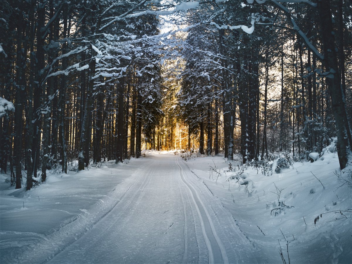 StantonsMusic's tweet photo. "The Solitude of Snow and More for High School Choir"
Recommended by Jen Sper and Lisa Springer, School Choral Music Specialists
https://t.co/IueJyOj20j

#MusicEducation #Choir #SheetMusicSpecialists #ForEveryMusician #ProgramwiththePros https://t.co/JTy2PbWumQ
