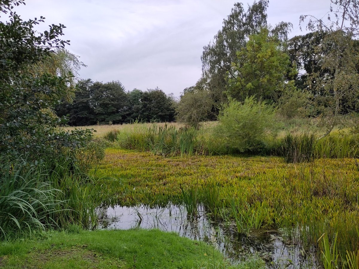 Mattjcrofts's tweet image. Lovely visit to @N_T_S inveresk gardens yesterday. One of my favourite places.

Saw deer, horses and a few birds. 🦌 🐴 🐦

#Scotland #adventure #FunDaysOut