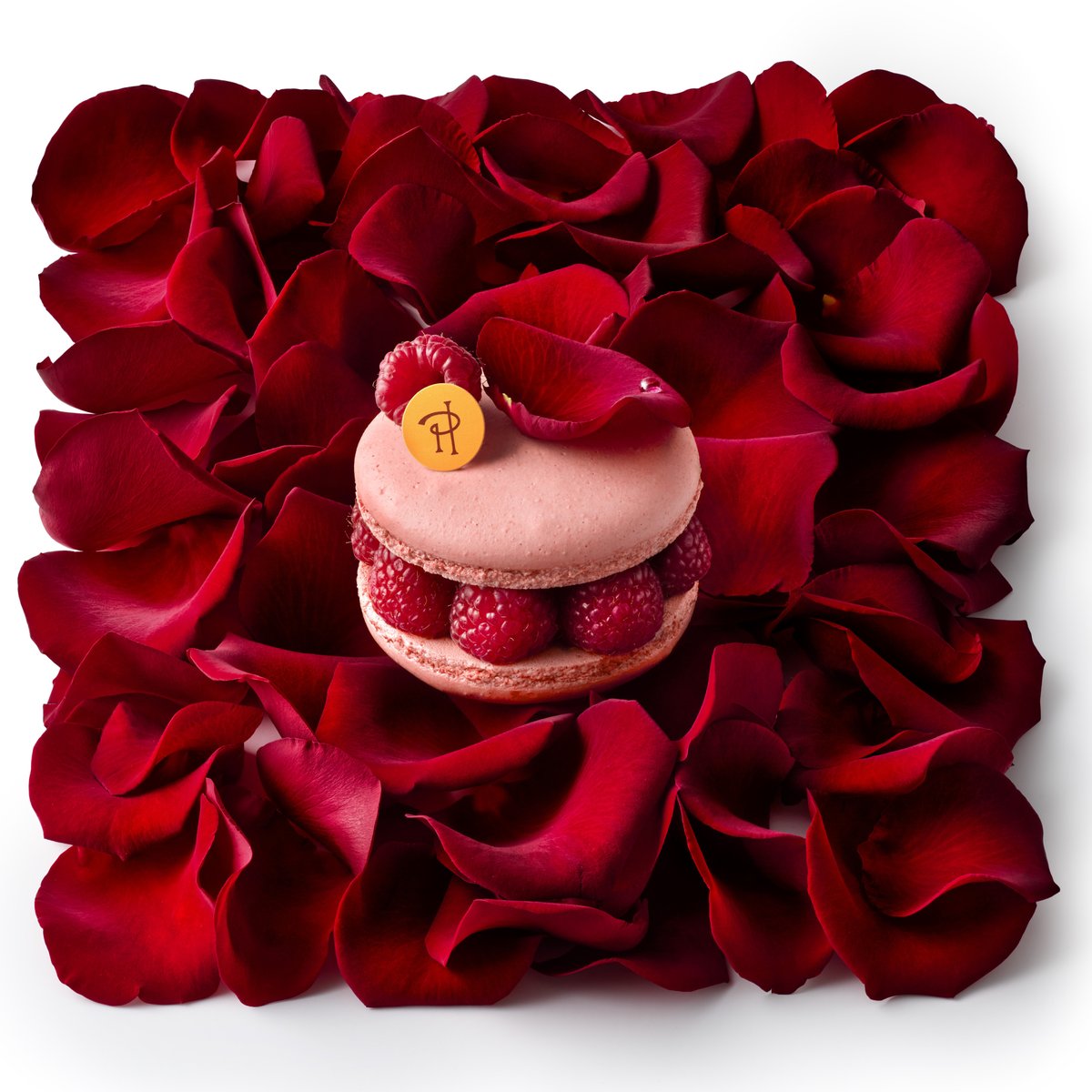 PierreHerme_FR's tweet photo. Décliné en dessert à l’assiette pour le dîner d’exception dédié à la venue du Roi Charles III à Paris, l'entremets Ispahan est l’une des pâtisseries “Fetish” de Pierre Hermé. A retrouver dans nos boutiques, en Click &amp; Collect en livraison par coursier à Paris. https://t.co/sCQ8Wz3n5r