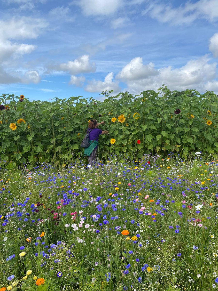 UHLBreastCareTeam tweet media