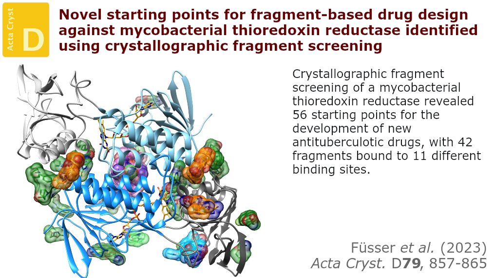 Fragment screening on M. smegmatis thioredoxin reductase showed 68 binding events, with 42 fragments found at 11 different binding sites @WWU_Muenster <a href="/IUCr/">IUCr</a> #CrystallographicFragmentScreening #MycobacteriumTuberculosis #MycobacteriumSmegmatis doi.org/10.1107/S20597…
