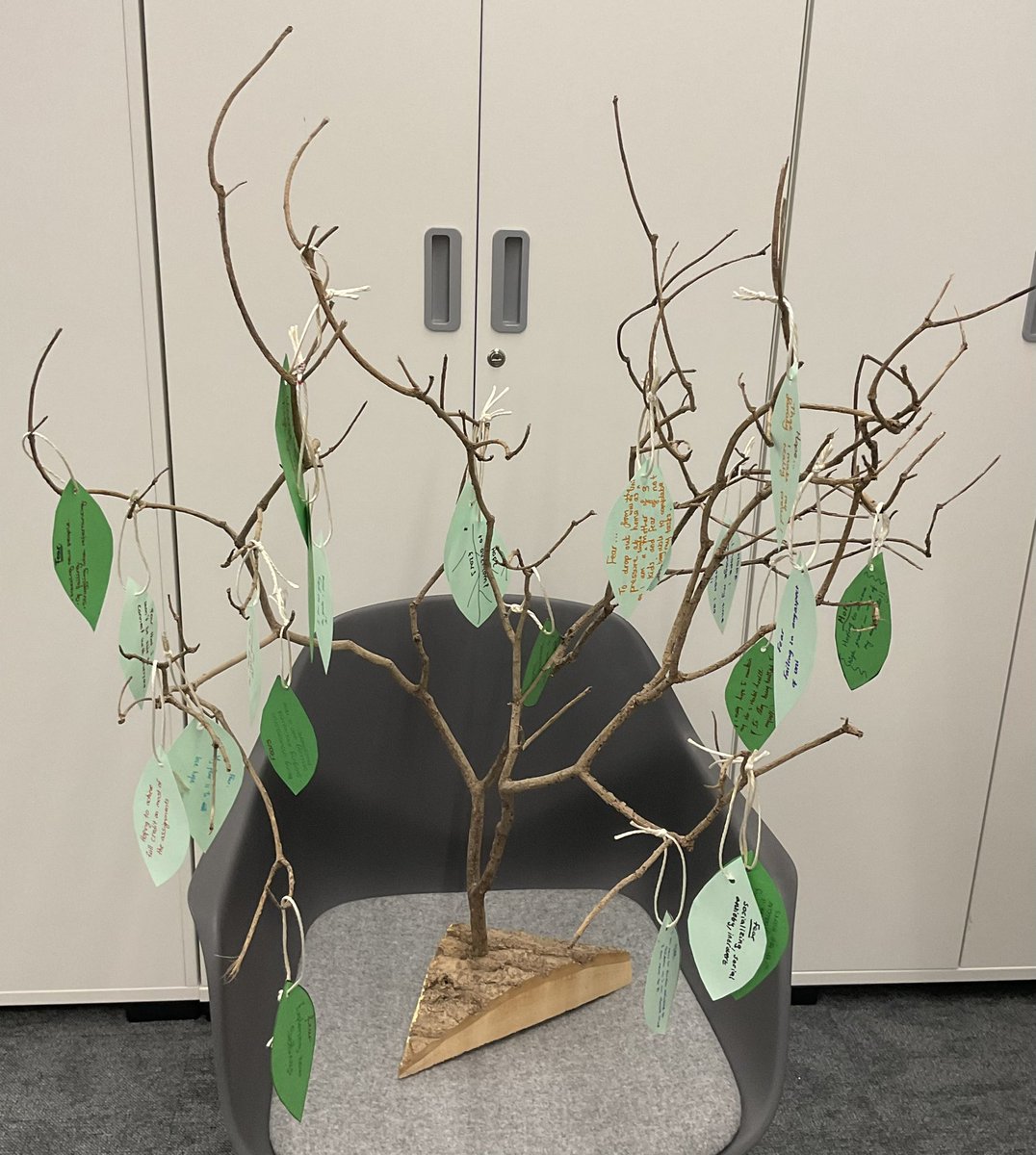 Gemma Kirby (@gemma_kirby1) on Twitter photo What a lovely Induction day with our new Level 4 ‘Early Childhood Studies’ students! Some really interesting contributions to our ‘Hopes & Fears Tree’ too! 🌳 <a href="/UCBChildEd/">Early Childhood & Education</a> <a href="/UCBofficial/">University College Birmingham</a> <a href="/UCBTandL/">Learning and Teaching at UCB</a> What a lovely Induction day with our new Level 4 ‘Early Childhood Studies’ students! Some really interesting contributions to our ‘Hopes & Fears Tree’ too! 🌳 <a href="/UCBChildEd/">Early Childhood & Education</a> <a href="/UCBofficial/">University College Birmingham</a> <a href="/UCBTandL/">Learning and Teaching at UCB</a>