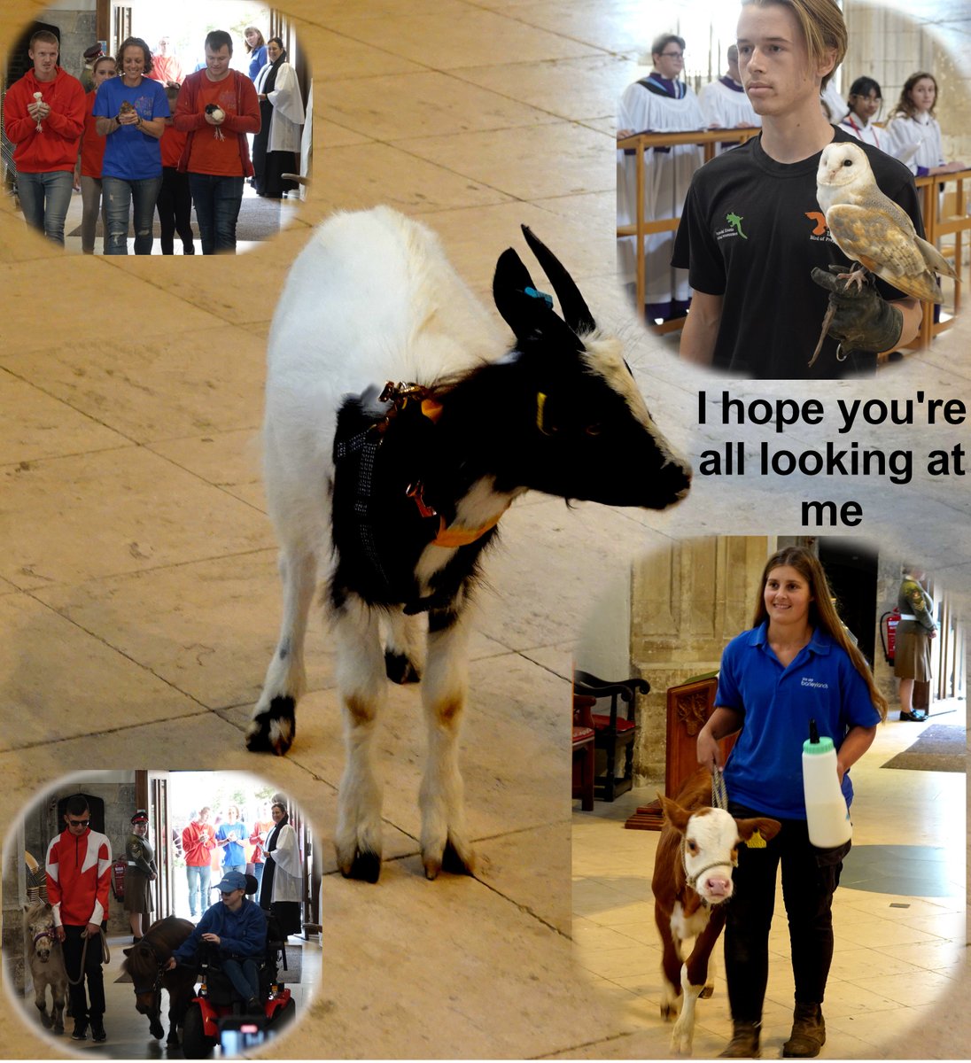 With an ever-increasing congregation, once again Barleylands Farm led members of the farming community, NFU, Essex Agri Society, RABI, YFC, FCN, etc into Chelmsford Cathedral's Harvest festival
All came with a variety of Essex Produce and again the drinks/food provided at the end