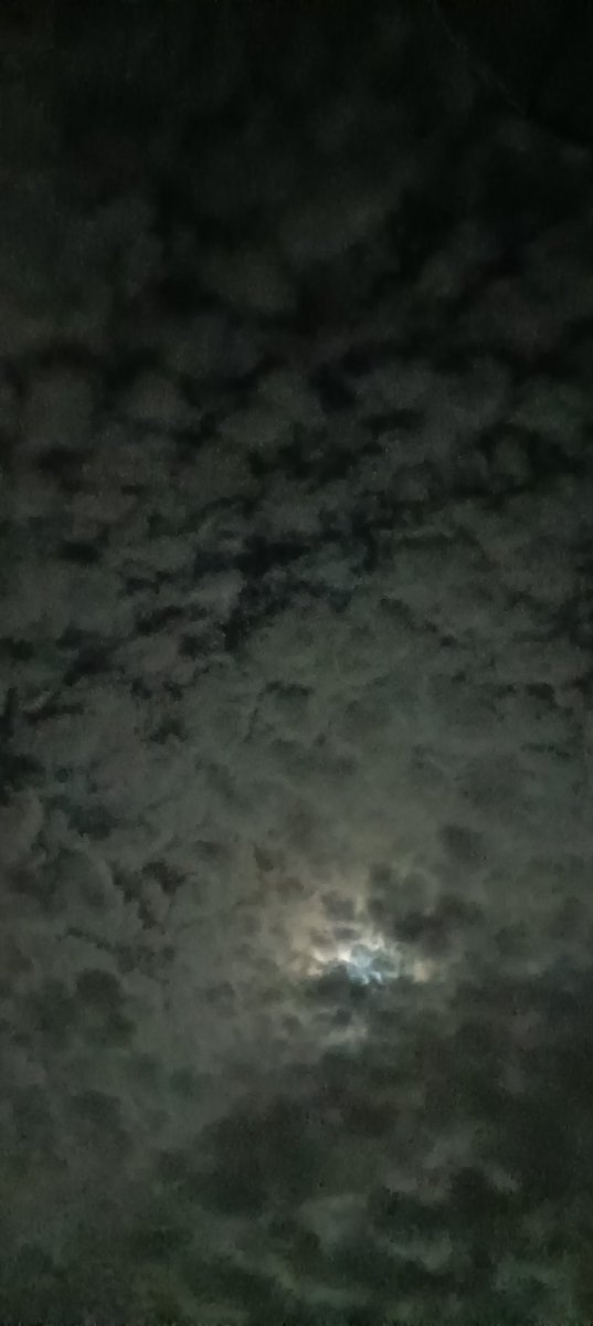 am_mener's tweet photo. คืนนี้พายุจะเข้าฟ้าหลัวมากค่ะ เอาท้องฟ้าตอนกลางคืนมาฝากเฮีย
เป็นกำลังใจให้ซีกโครงเฮียนะคะ หยอกๆ😂🤣 เป็นกำลังใจให้เฮียซ้อมคอนค่ะ😘
#BLUSKYCHECK
#ท้องฟ้าใกล้ฉัน
#เป๊กผลิตโชค
#PeckPaLitChoke https://t.co/o0RGWM8kht