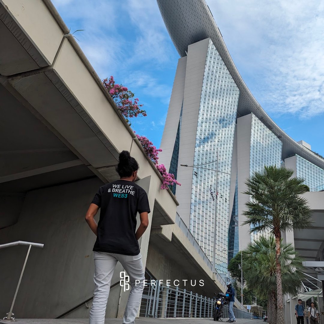 PerfectusTec's tweet photo. Recently, we've been deeply involved in the Web3 community at Token 2049, connecting with global leaders. Building bridges, sharing insights, and shaping the blockchain and digital assets future. 🔗🚀 #Perfectustec #Token2049 #Web3Innovation #Networking https://t.co/Dptc8M6iaC