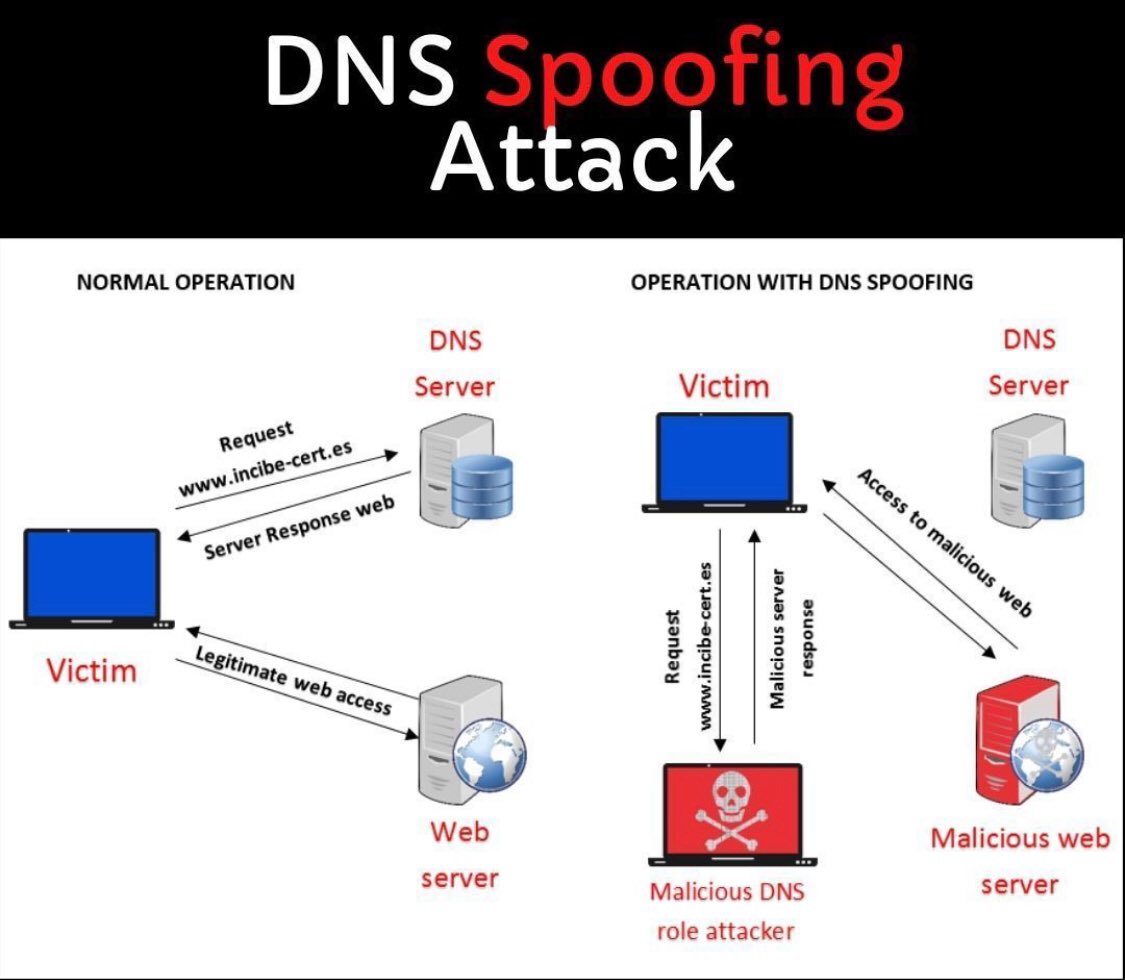SecurityTrybe's tweet photo. DNS Spoofing Attack https://t.co/YWqhl8uJUR
