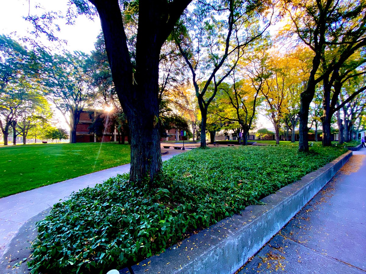GC_Dash_1894's tweet photo. I just love this time of year on campus!  Fall colors, cool nights, and with homecoming just around the corner, my birthday! https://t.co/TRuTbt1H8K