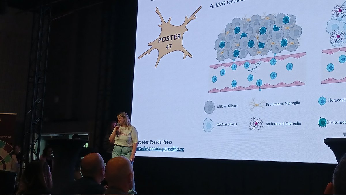 LilyKeane's tweet photo. Great job by @merchipperez7 and @Baleviciute_A for their 40 SECOND poster pitches at the Karolinska cancer retreat emphasising the importance of microglia heterogeneity in brain tumour biology! https://t.co/gavFON8b1h