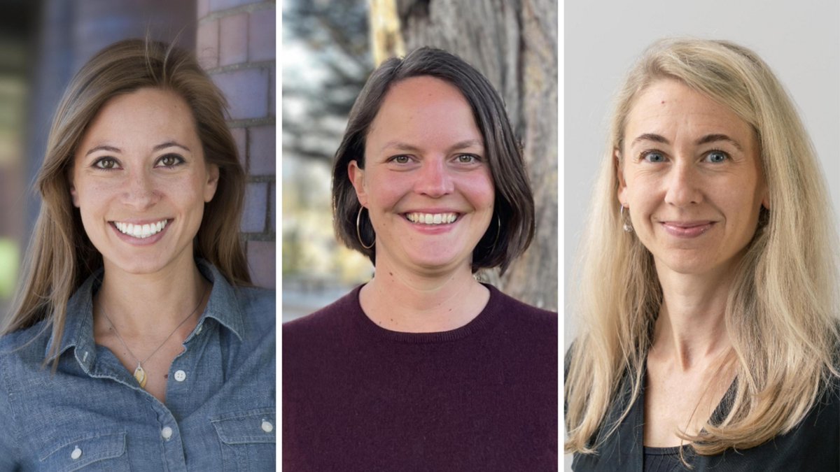 Put blue food on the climate agenda! Fish, shellfish and algae are an overlooked tool in sustainability efforts, say centre researcher @MalinJonell, @drticklejar at @oceansolutions, and @karly_kelso at @EnvDefenseFund, in Swedish @AHallbarhet. Learn more buff.ly/461sVts