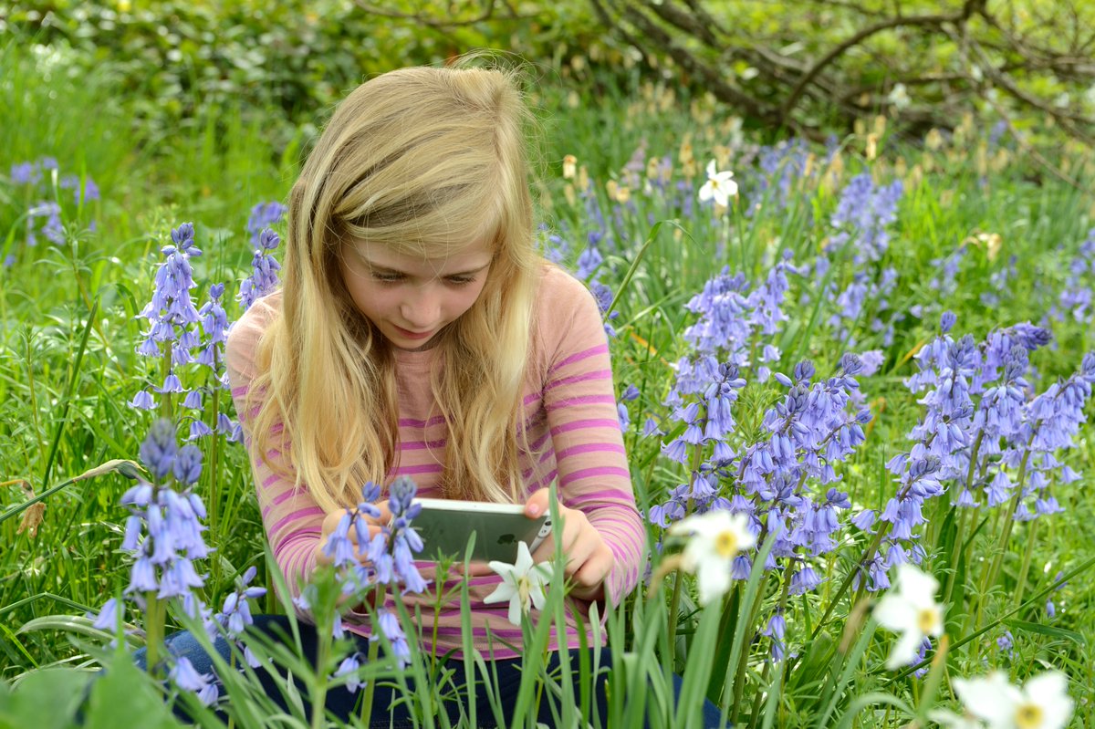 NatureScot tweet media