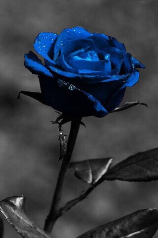 zzvvvzz8's tweet photo. -

لا تكره شيئًا اختاره #الله لك ، فعلى البلاءِ تؤجر ، وعلى المرض تؤجر، وعلى الفقدِ تؤجر ، وعلى الصبر تؤجر ، #فربُّ الخير لا يأتي إلا بخير 💙..

#ابن_باز ..

- https://t.co/qmuyuEQVww