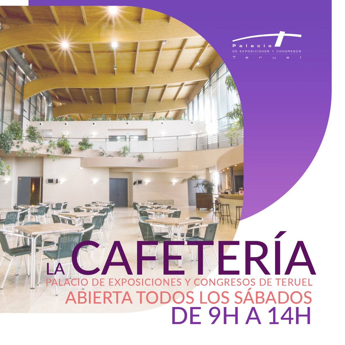¡Los sábados son para disfrutar en nuestra #cafetería !

De 9 a 14h, te esperamos para que te tomes un refresco, un café o un delicioso almuerzo.

Además, ¡tenemos algo especial para ti! ¿Tienes un evento deportivo en mente? 

Contáctanos en bar@feriasycongresosteruel.com