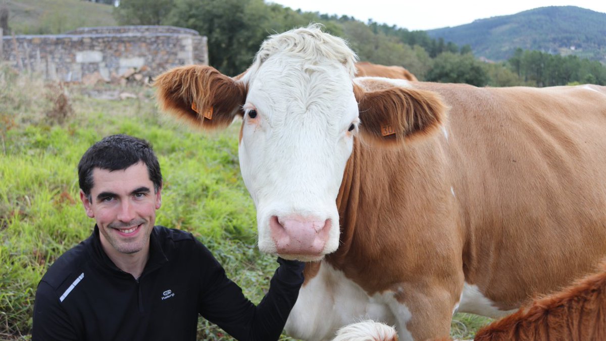 La_COAG's tweet photo. 🐂🐄 Kepa Agirregoikoa, joven de Amorebieta que en su apuesta por tener una explotación pequeña y manejable ha encontrado el tamaño justo que le permite conseguir 'más con menos' y ser rentable 👌

📲 Descúbrelo en #SomosNuestraTierra: https://t.co/CQOBOIdSXV https://t.co/CUTSbeSGjn