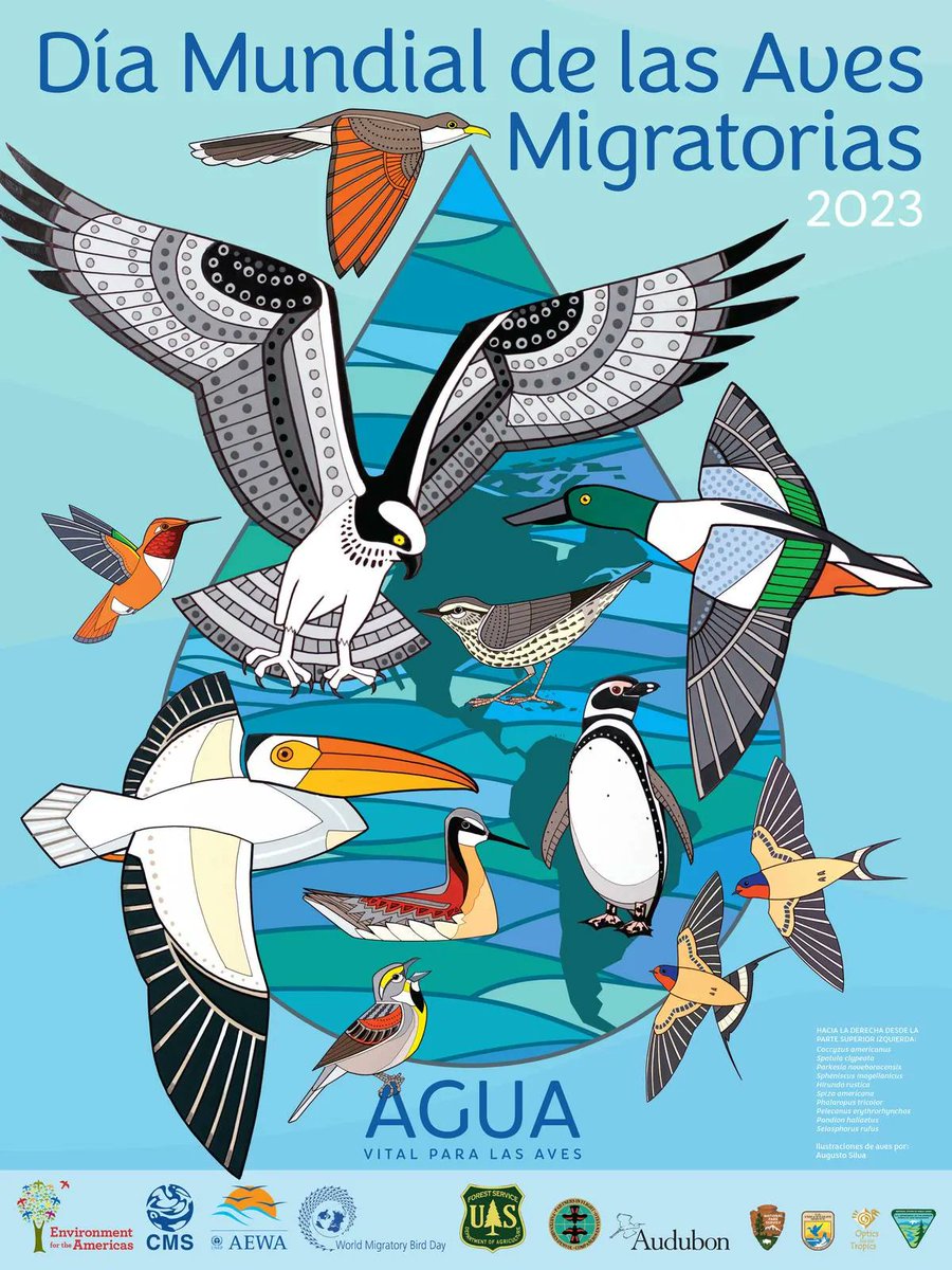 Coastal Solutions Fellowship Program tweet media