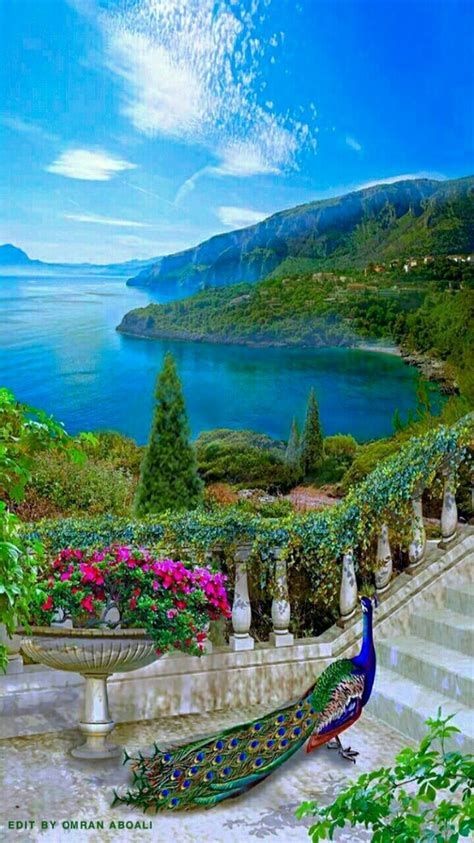 Have a nice afternoon everyone.  I wish you a happy new week!  ❤❤❤😊⚘🌷🌺🌹🌻🌼🌳🪴🏵🍁🍀☘🌵💮💐🌸🌿🍂🍁