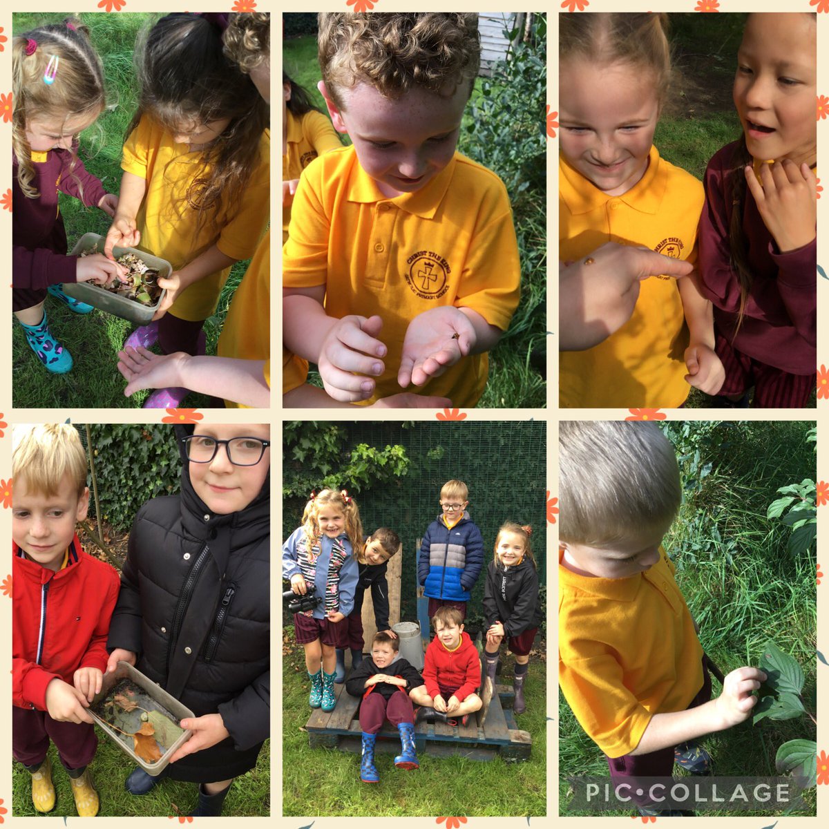 We’ve been making homes for ladybirds in @CTKLiverpoolY2 🐞