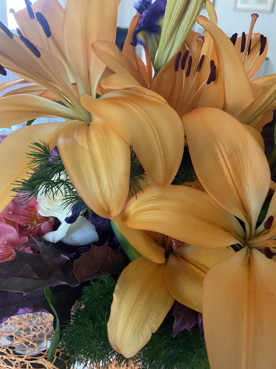 onlyiria's tweet photo. Que me regalen flores >>> https://t.co/IU2W4lFkJj