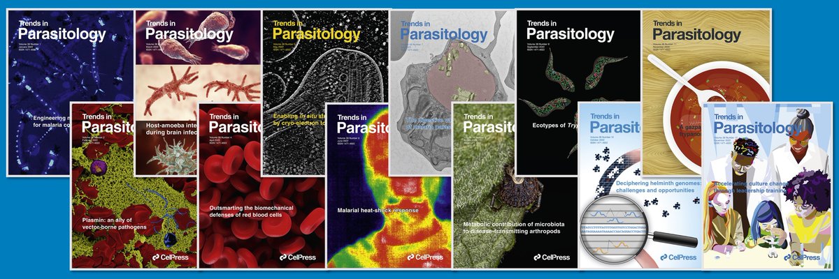 Check out this curated collection showcasing the most cited and influential articles published in the @CellPressNews journal #TrendsinParasitology in 2022. #Review #Opinion #Forum #Spotlight #TrendsTalk #ParasiteoftheMonth cell.com/trends/parasit…