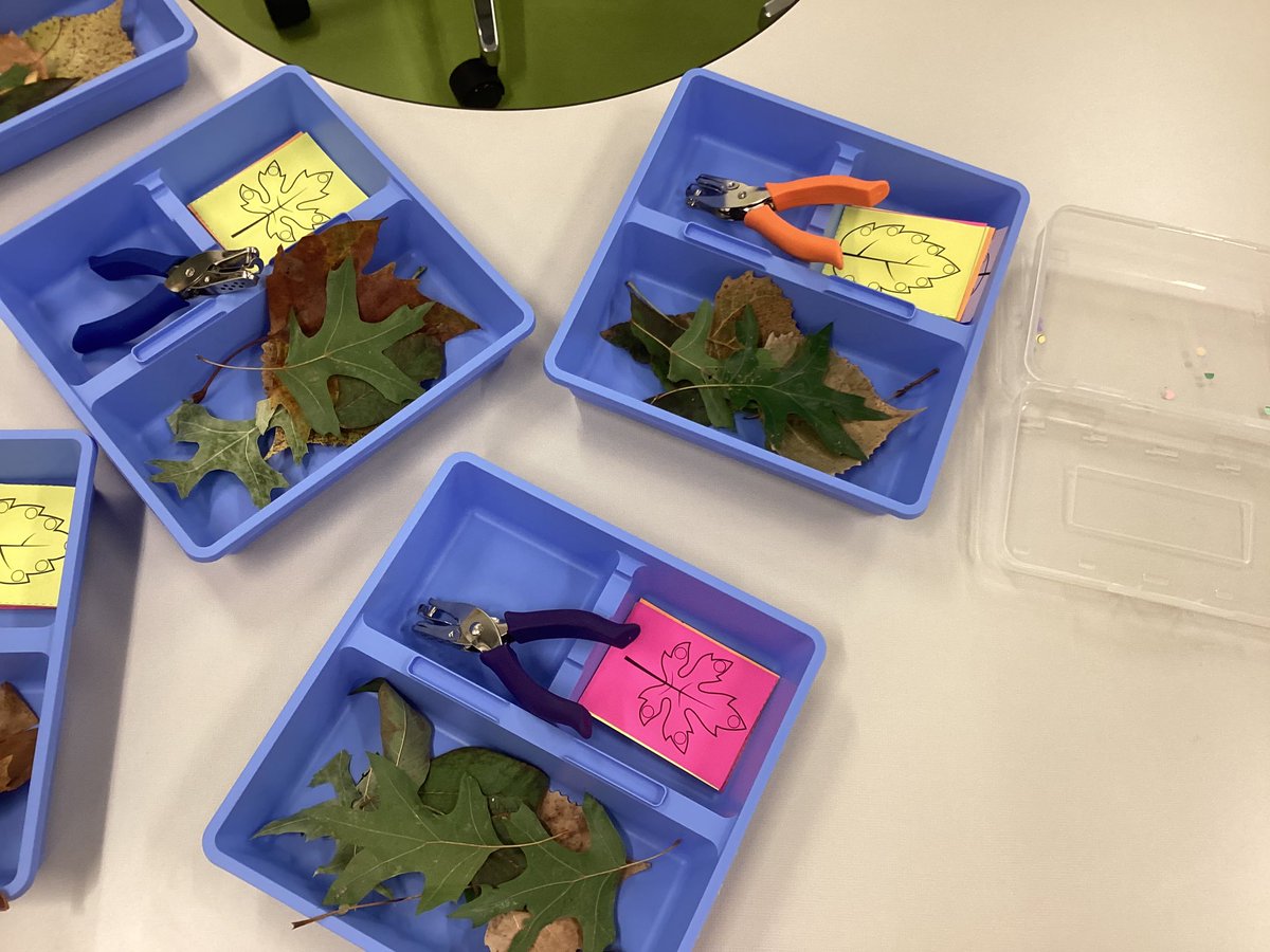 Hole punching real and paper leaves today to build our hand strength! <a href="/NKCEarlyed/">NKC Schools Early Education</a>