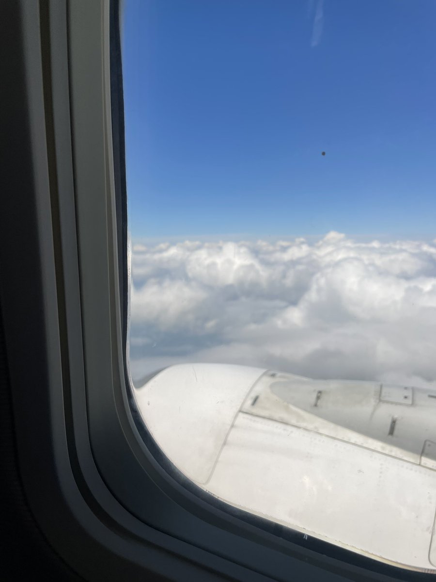 iing9u's tweet photo. 대만 여행(이자 여행 가이드!!!)✈️🇹🇼
혼자 여행하실 계획이라면 읽어보시는 걸 추천!
(만 17세 여학생 둘이 갓읍니다..!) https://t.co/dNMVJKQ1tq