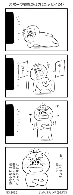 スポーツ観戦の仕方(エッセイ)