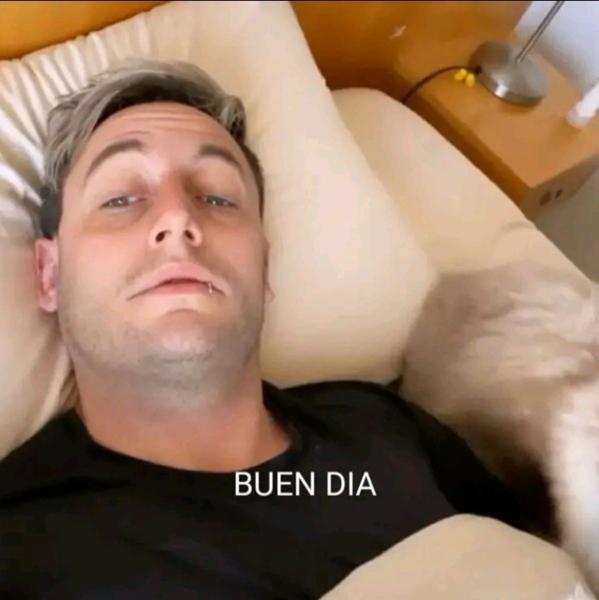 Maestro Splinter (@ooc_momo) on Twitter photo 