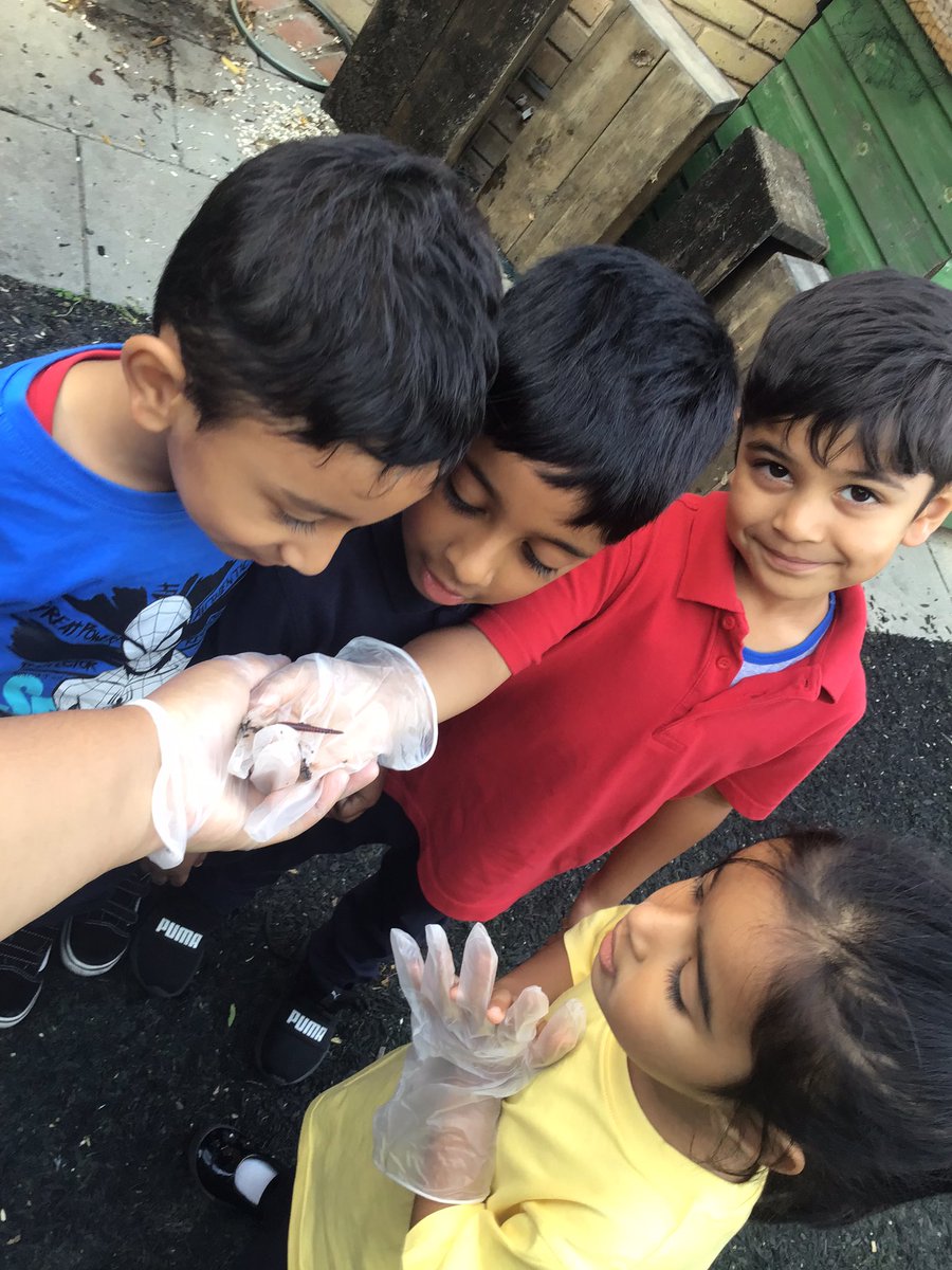 Halley Reception tweet media