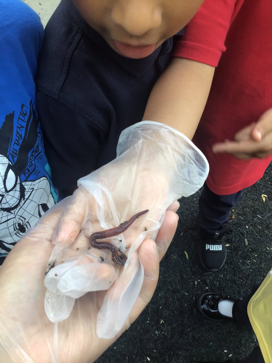 Halley Reception tweet media