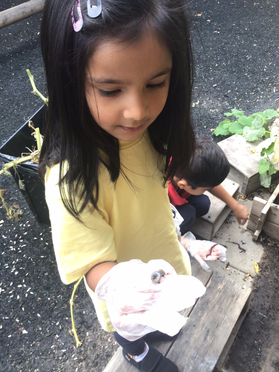 Halley Reception tweet media