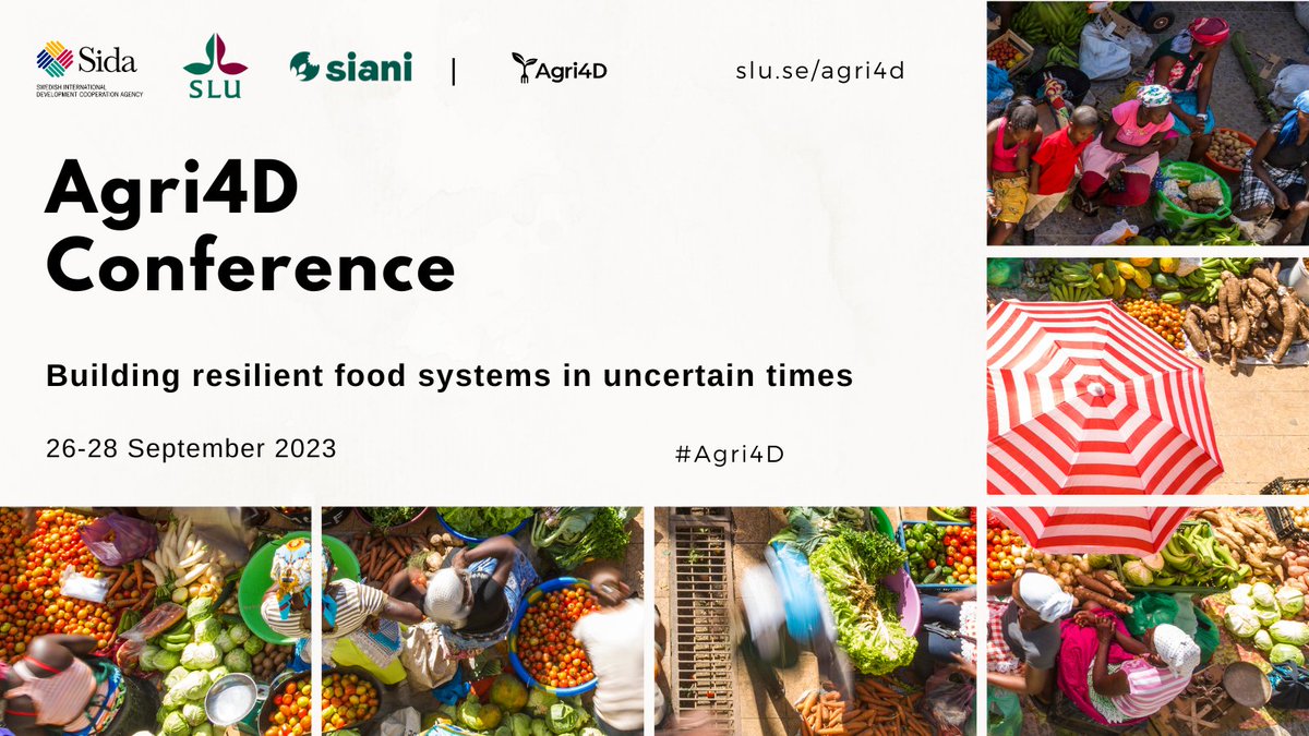 Countdown to #Agri4D! 🌟 Tomorrow we start the Agri4D conference connecting researchers, stakeholders and other participants with a common interest of sustainable #foodsystems and #foodsecurity. ➡️slu.se/agri4d @SIANIAgri @ILRI @IITA_CGIAR @ICRAF @CGIAR @CGIARAfrica