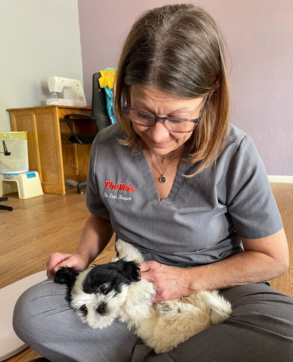 Nothing but belly rubs and love here! 🐶✨ 
Dr. Newport knows how to turn vaccine visits into snuggle sessions. Gus-Gus can vouch!