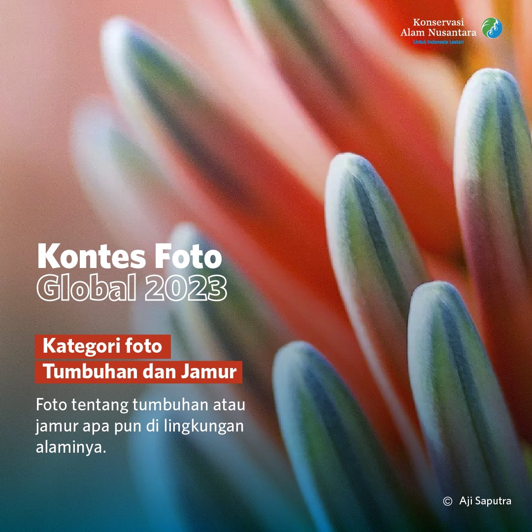 ykan_id's tweet photo. Tahukah kamu bahwa makhluk hidup terbesar di Bumi adalah jamur?
Di balik keindahannya, tumbuhan dan jamur juga menyimpan manfaat yang besar bagi manusia dan ekosistem. https://t.co/nnBRMXoVUB