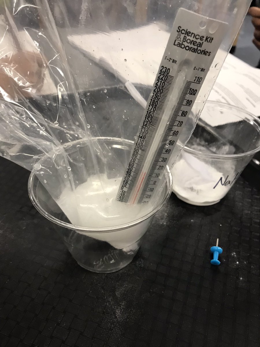 Allison Atkinson tweet media