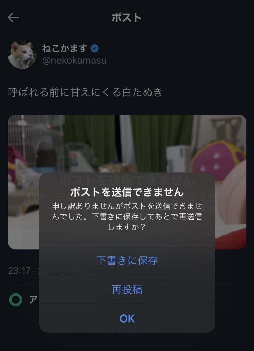 動画が「ポストを送信できません」ってずっとなってる