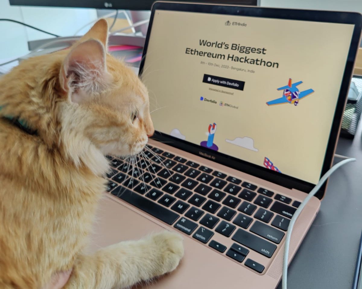 Our beloved cat, Jhumri, submitting a hacker application to ETHIndia '23 Hackathon.