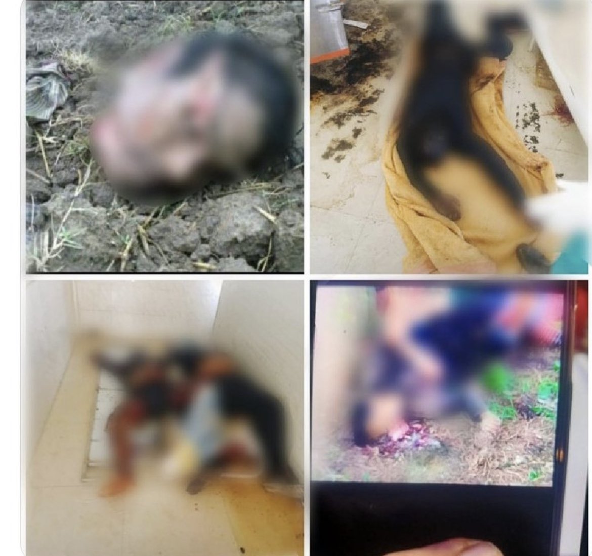GladiatorM56475's tweet photo. The atrocities of the bible hugging community led by Kuki terrorists have been the shadow looming in our state, Manipur. Yet, media fails time and time again to unveil the reality. #ZRAExposed ZRAExposed https://t.co/h03ddtQOxN