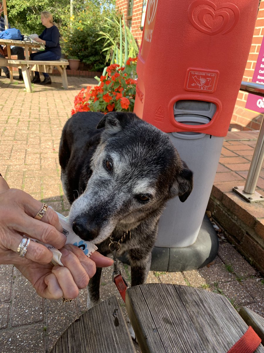 MerlinnotDesmo's tweet image. We had visitors today - Nanny came to see us. 

More importantly …… I got ice cream 😋😋