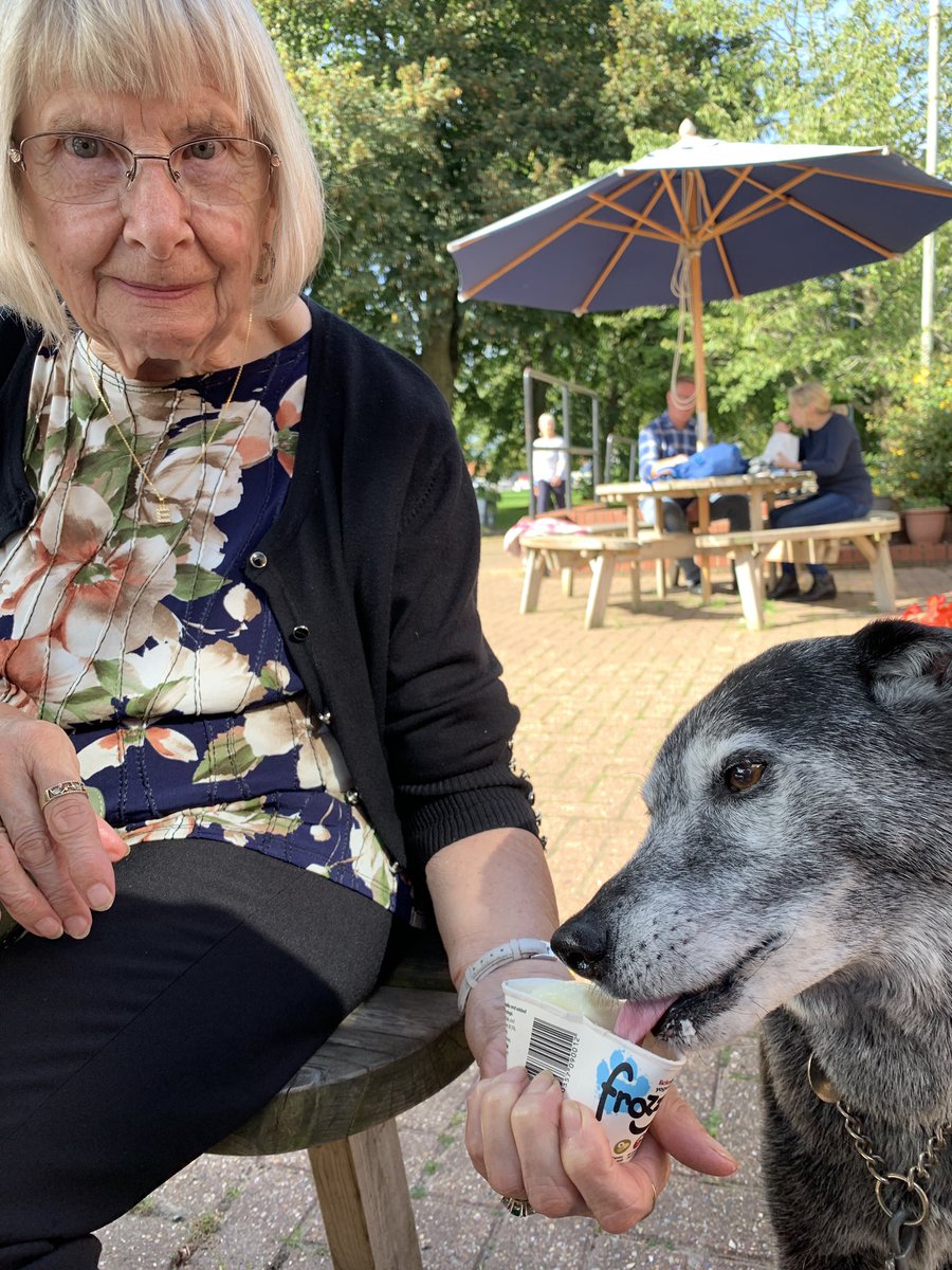 MerlinnotDesmo's tweet image. We had visitors today - Nanny came to see us. 

More importantly …… I got ice cream 😋😋