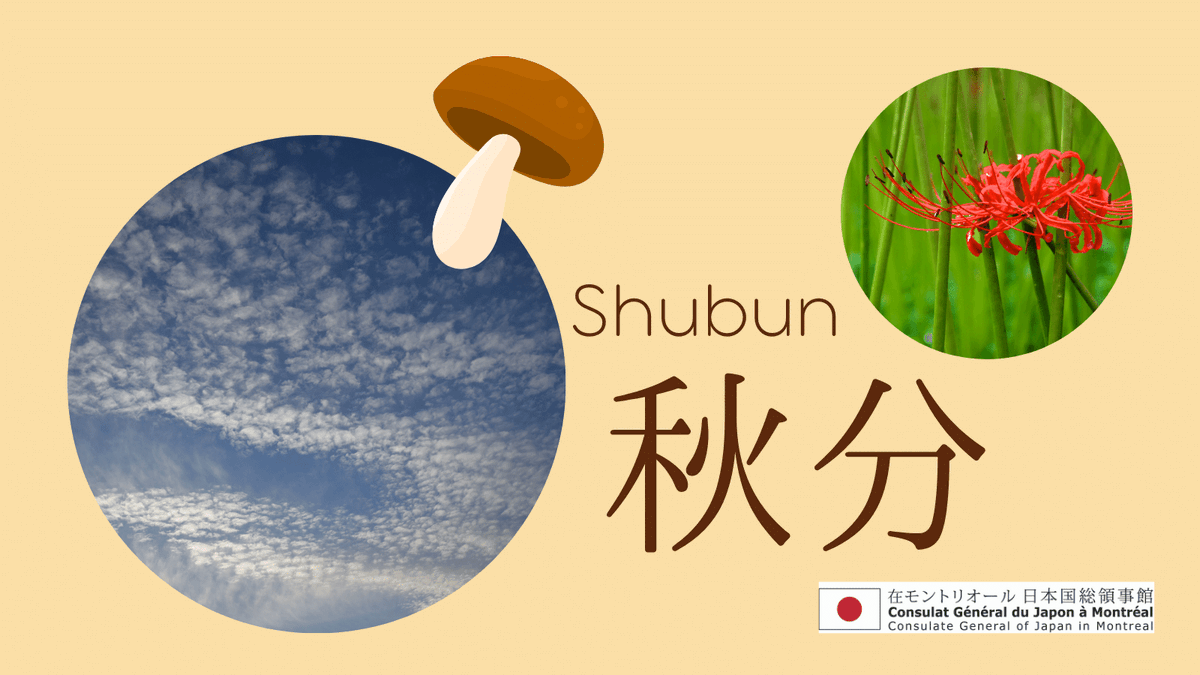JaponMontreal's tweet photo. C'est la 16e des 24 divisions de l'année solaire, «#shubun»: la saison fraîche s'installe rapidement, après l’équinoxe d’automne🍂
It's the 16th of the 24 divisions of the solar year, "shubun": the cooler season thrives quickly after the autumnal equinox🍂 https://t.co/7rDWtuh0QW