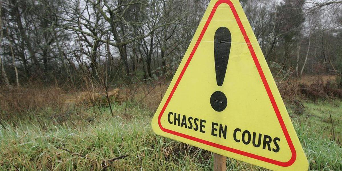 sudouest's tweet photo. Accident de chasse : il blesse son fils de 15 ans lors d’une battue au sanglier https://t.co/OD6iFfxt9m https://t.co/pUiQFWDjsW